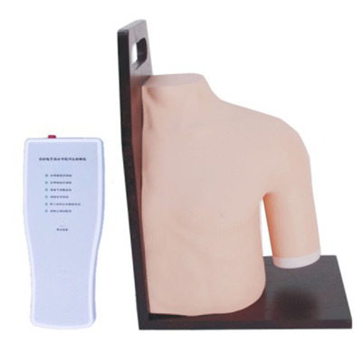 Shoulder Joint Cavity Injection Model