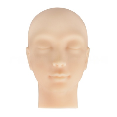 Multi-Functional Head Model