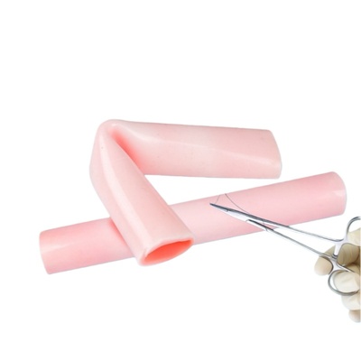 Intestinal Suturing Practice Module