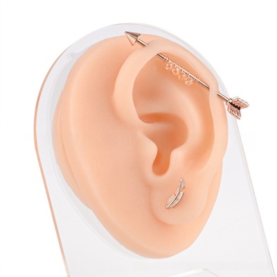 Silicone Realistic Ear Model