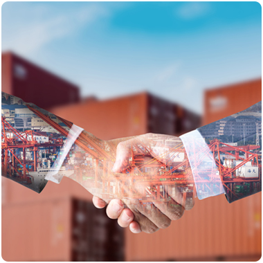 Customized medical models successfully shipped to Morocco