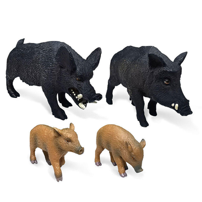 Wild Boar Animal Model