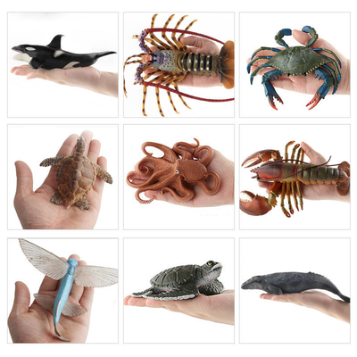 Marine Animal Biological Model