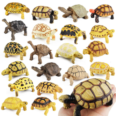 Tortoise Model