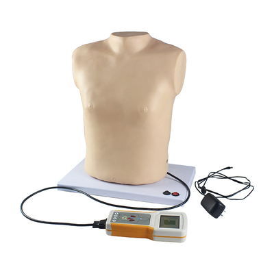 Fully automatic cardiopulmonary auscultation simulator